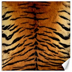 Tiger Fur Canvas 12  X 12   by trendistuff