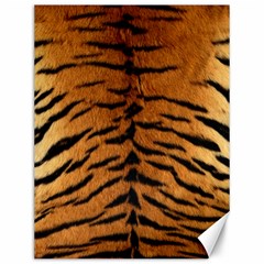 Tiger Fur Canvas 12  X 16   by trendistuff