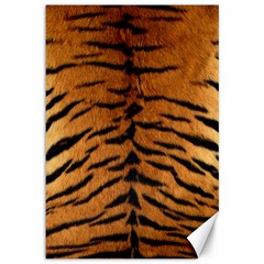 Tiger Fur Canvas 12  X 18   by trendistuff