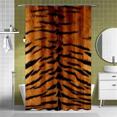 Tiger Fur Shower Curtain 48  X 72  (small)  by trendistuff