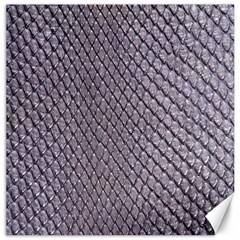 Silver Snake Skin Canvas 12  X 12   by trendistuff