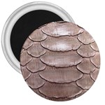 SCALY LEATHER 3  Magnets