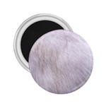 RABBIT FUR 2.25  Magnets