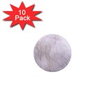 RABBIT FUR 1  Mini Magnet (10 pack) 