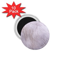 Rabbit Fur 1 75  Magnets (10 Pack) 