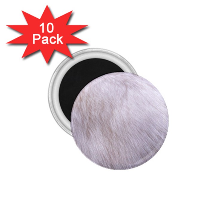 RABBIT FUR 1.75  Magnets (10 pack) 