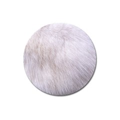 Rabbit Fur Magnet 3  (round) by trendistuff