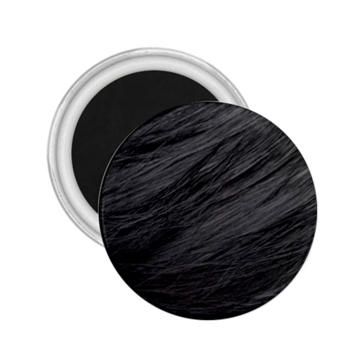 LONG HAIRED BLACK CAT FUR 2.25  Magnets