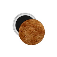 Light Brown Fur 1 75  Magnets by trendistuff