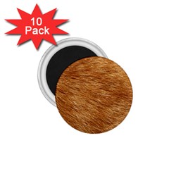 Light Brown Fur 1 75  Magnets (10 Pack)  by trendistuff