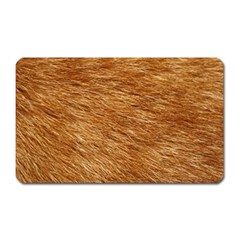 Light Brown Fur Magnet (rectangular) by trendistuff