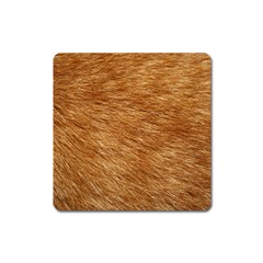 Light Brown Fur Square Magnet by trendistuff