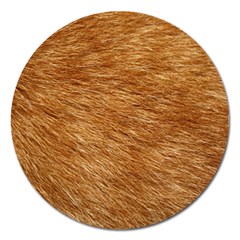 Light Brown Fur Magnet 5  (round) by trendistuff