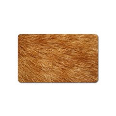 Light Brown Fur Magnet (name Card) by trendistuff