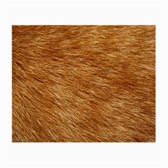 Light Brown Fur Small Glasses Cloth by trendistuff