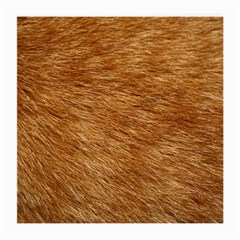 Light Brown Fur Medium Glasses Cloth (2-side) by trendistuff