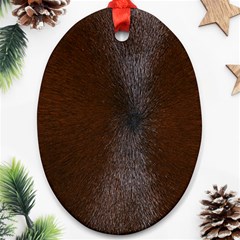 Horse Fur Ornament (oval)  by trendistuff