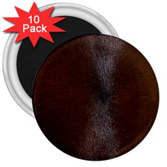 Horse Fur 3  Magnets (10 Pack)  by trendistuff