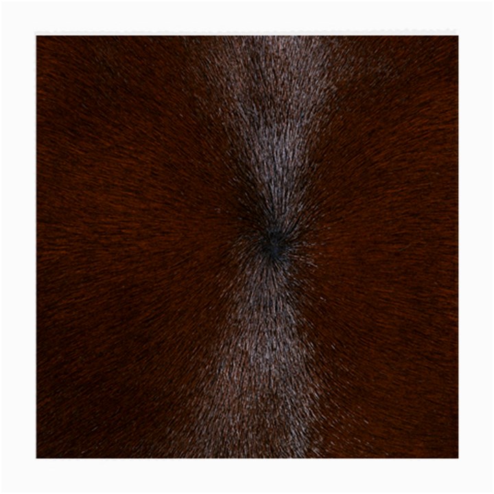 HORSE FUR Medium Glasses Cloth