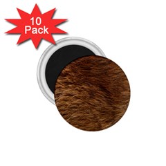 Bear Fur 1 75  Magnets (10 Pack)  by trendistuff