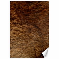 Bear Fur Canvas 12  X 18   by trendistuff