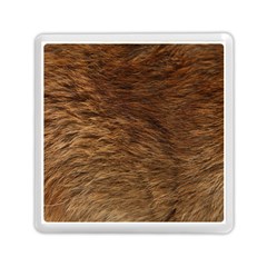 Bear Fur Memory Card Reader (square)  by trendistuff