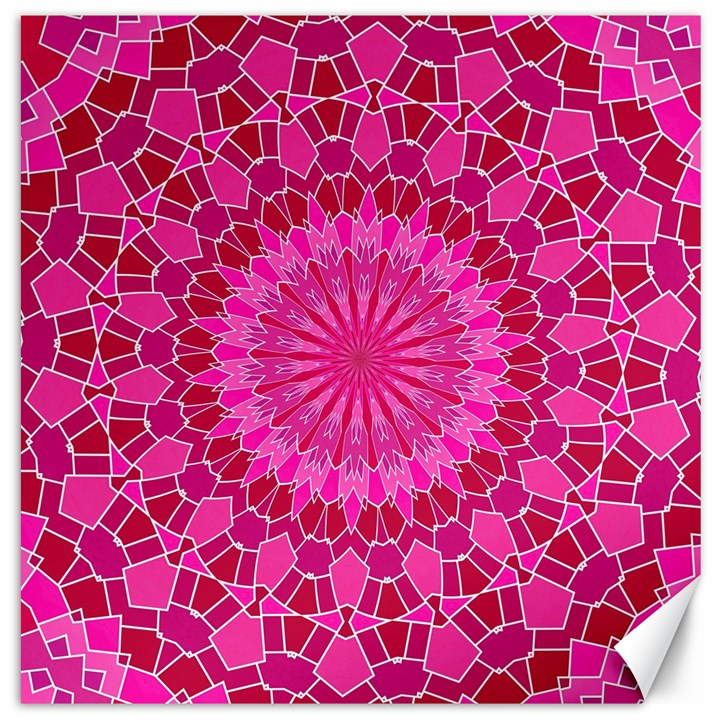 Pink and Red Mandala Canvas 20  x 20  