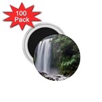 HOPETOUN FALLS 1.75  Magnets (100 pack)  Front