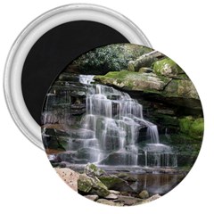 Elakala Falls 3  Magnets by trendistuff