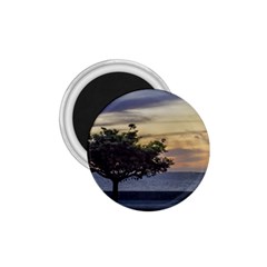 Sunset Scene At Boardwalk In Montevideo Uruguay 1 75  Magnets by dflcprints