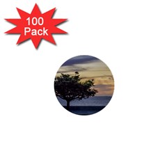 Sunset Scene At Boardwalk In Montevideo Uruguay 1  Mini Buttons (100 Pack)  by dflcprints