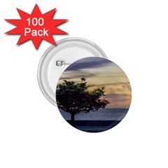 Sunset Scene At Boardwalk In Montevideo Uruguay 1 75  Buttons (100 Pack)  by dflcprints