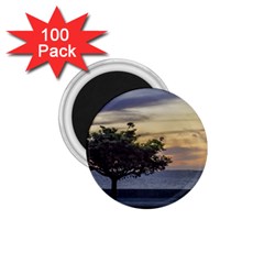 Sunset Scene At Boardwalk In Montevideo Uruguay 1 75  Magnets (100 Pack)  by dflcprints