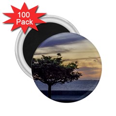 Sunset Scene At Boardwalk In Montevideo Uruguay 2 25  Magnets (100 Pack)  by dflcprints