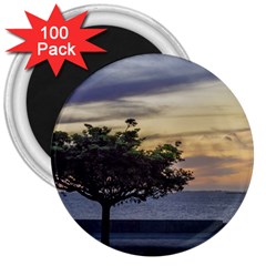 Sunset Scene At Boardwalk In Montevideo Uruguay 3  Magnets (100 Pack) by dflcprints