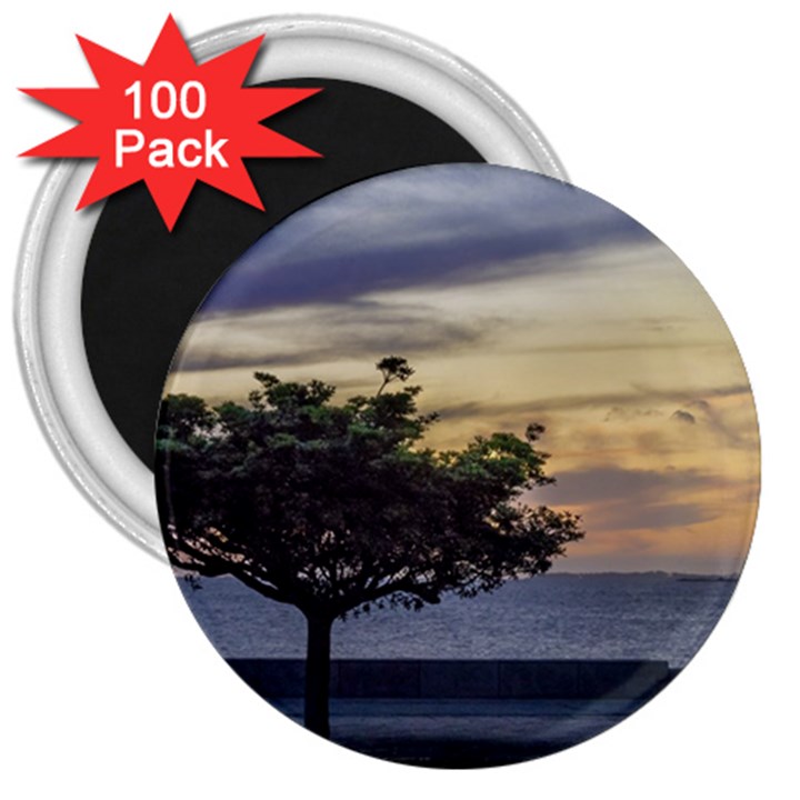 Sunset Scene at Boardwalk in Montevideo Uruguay 3  Magnets (100 pack)