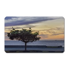 Sunset Scene At Boardwalk In Montevideo Uruguay Magnet (rectangular) by dflcprints