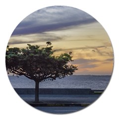 Sunset Scene At Boardwalk In Montevideo Uruguay Magnet 5  (round) by dflcprints