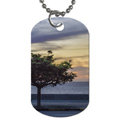 Sunset Scene At Boardwalk In Montevideo Uruguay Dog Tag (two Sides) by dflcprints