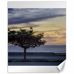 Sunset Scene At Boardwalk In Montevideo Uruguay Canvas 16  X 20   by dflcprints