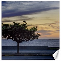 Sunset Scene At Boardwalk In Montevideo Uruguay Canvas 20  X 20   by dflcprints