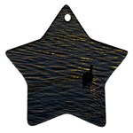 Lonely Duck Swimming At Lake At Sunset Time Ornament (Star)  Front