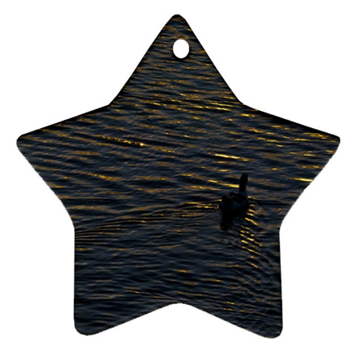 Lonely Duck Swimming At Lake At Sunset Time Ornament (Star) 