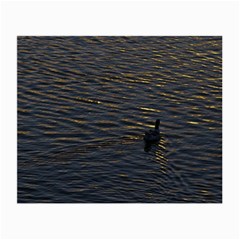 Lonely Duck Swimming At Lake At Sunset Time Small Glasses Cloth by dflcprints