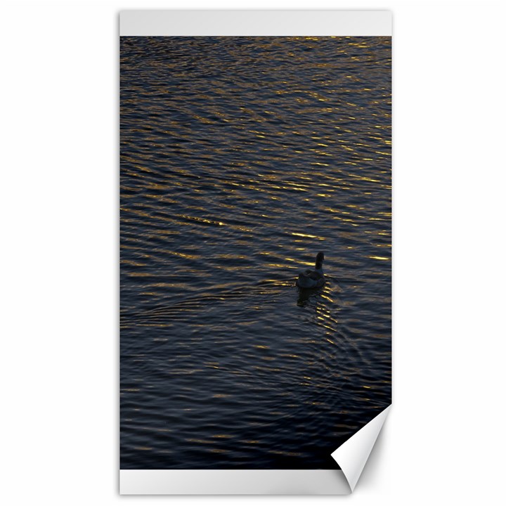 Lonely Duck Swimming At Lake At Sunset Time Canvas 40  x 72  