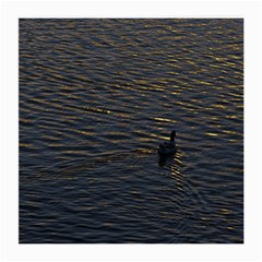 Lonely Duck Swimming At Lake At Sunset Time Medium Glasses Cloth by dflcprints