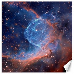 Thor s Helmet Canvas 20  X 20  