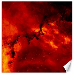 Rosette Nebula 2 Canvas 20  X 20   by trendistuff