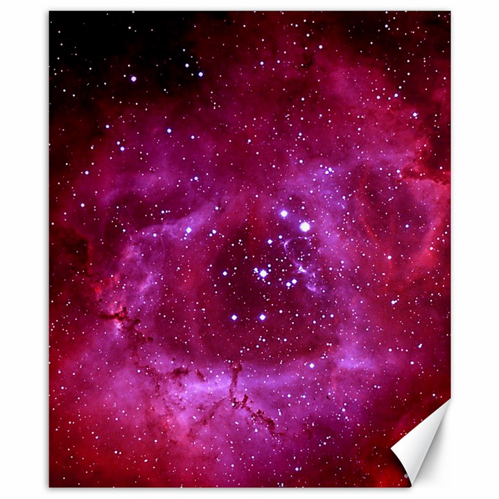 ROSETTE NEBULA 1 Canvas 8  x 10 