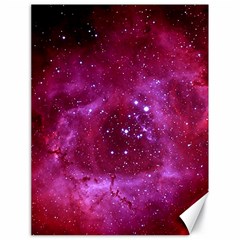 Rosette Nebula 1 Canvas 18  X 24   by trendistuff